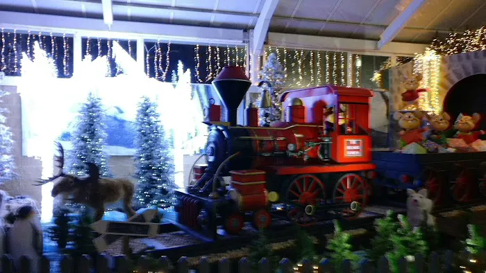 Maidenhead Aquatics Belfast Picture 4