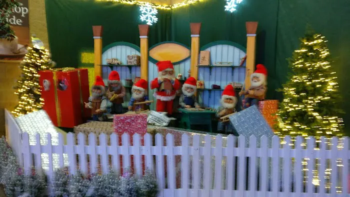 Maidenhead Aquatics Belfast Picture 5