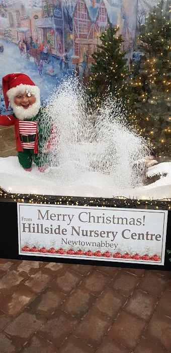 Maidenhead Aquatics Belfast Picture 9