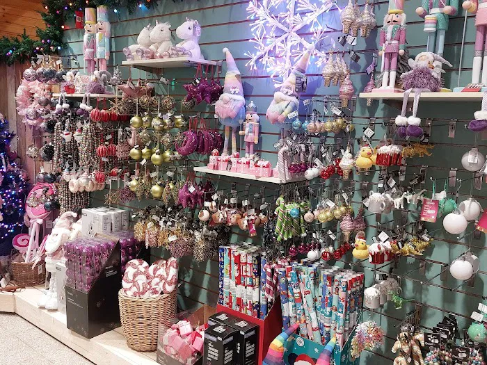 Maidenhead Aquatics Belfast Picture 10