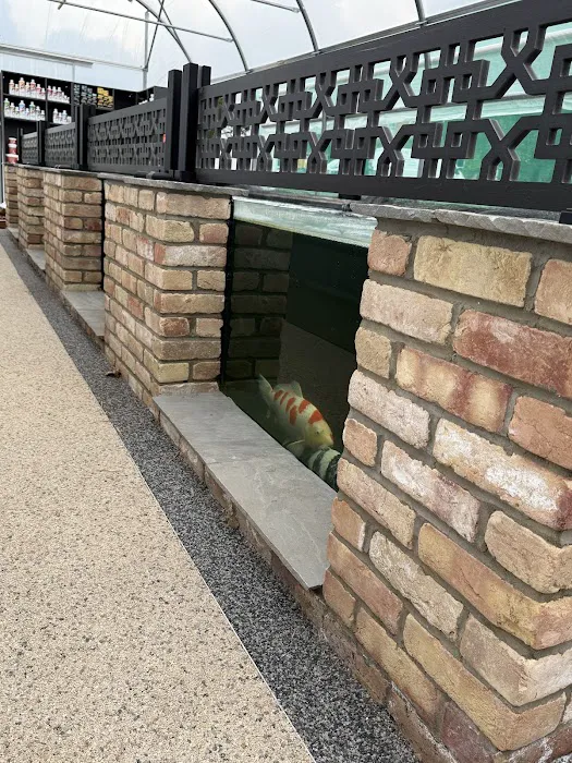 Aqua Group Koi Picture 1