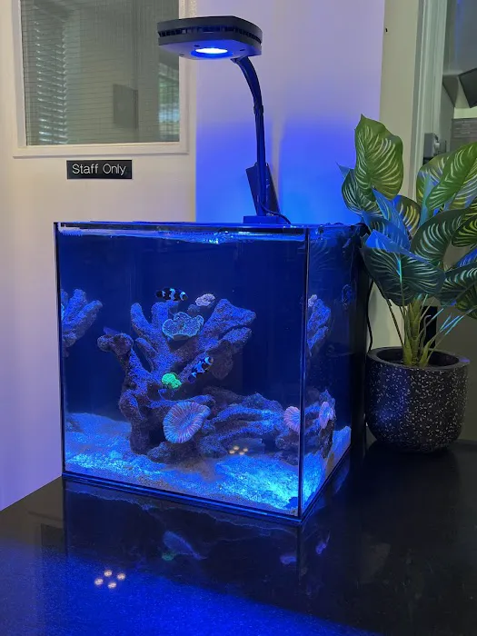 Aqua Group Picture 1