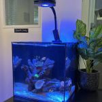 Aqua Group