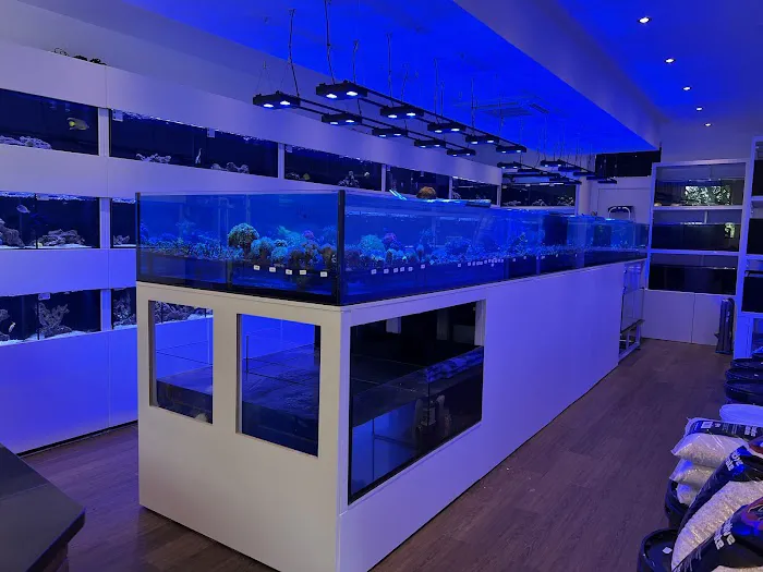 Aqua Group Picture 5