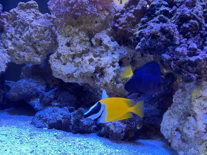 Aqua Group Picture 6