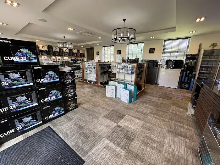 Aqua Group Picture 7