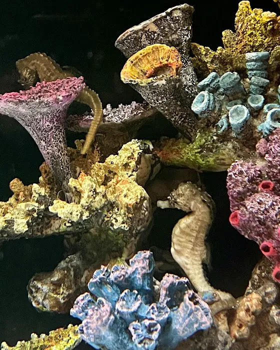 Aqua Group Picture 8