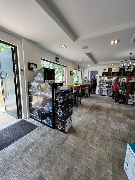 Aqua Group Picture 10