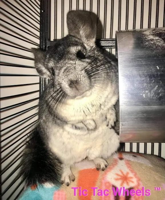 Tic Tac Wheels Picture 1