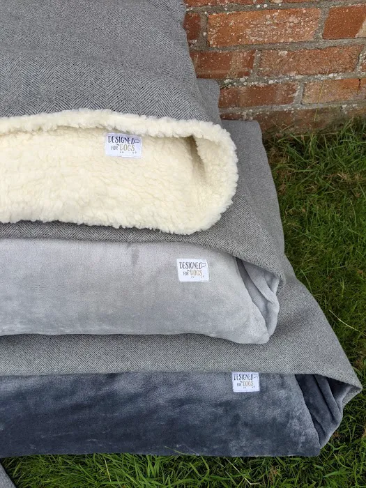 Designed for Dogs Picture 9