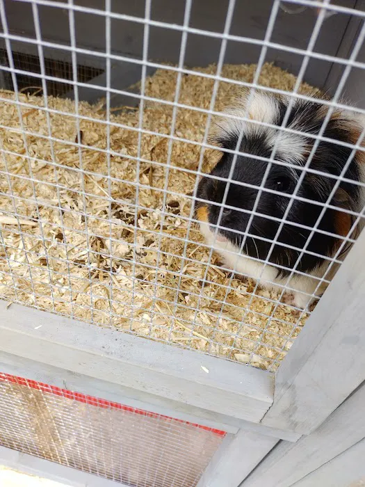 Pets at Home Grimsby Picture 3