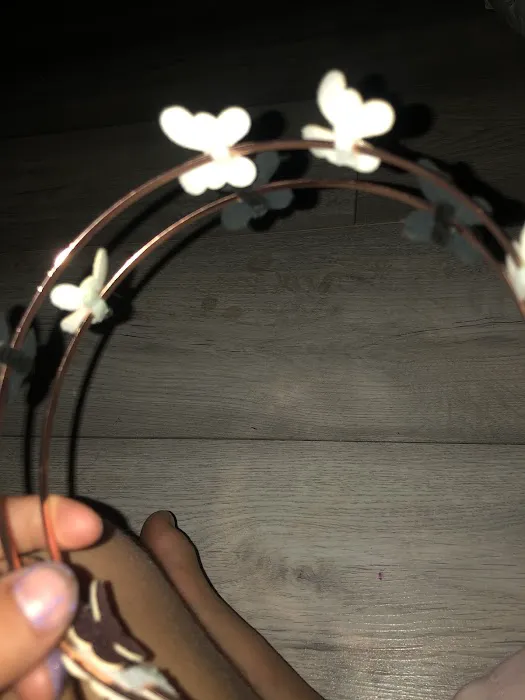 Pets at Home Grimsby Picture 5