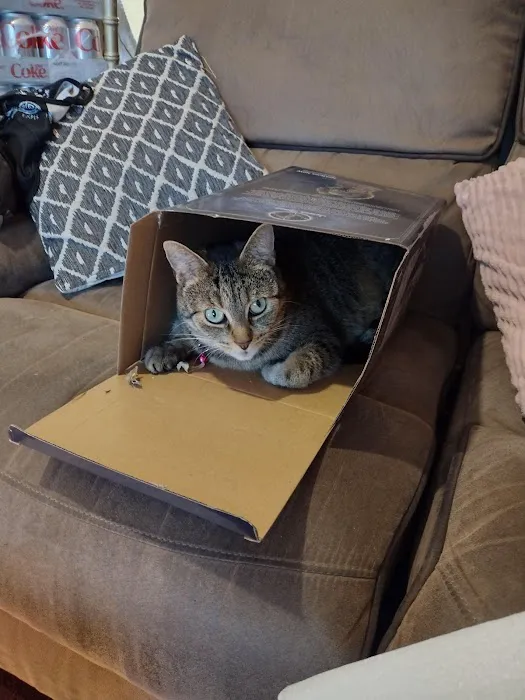 Pets at Home Grimsby Picture 8