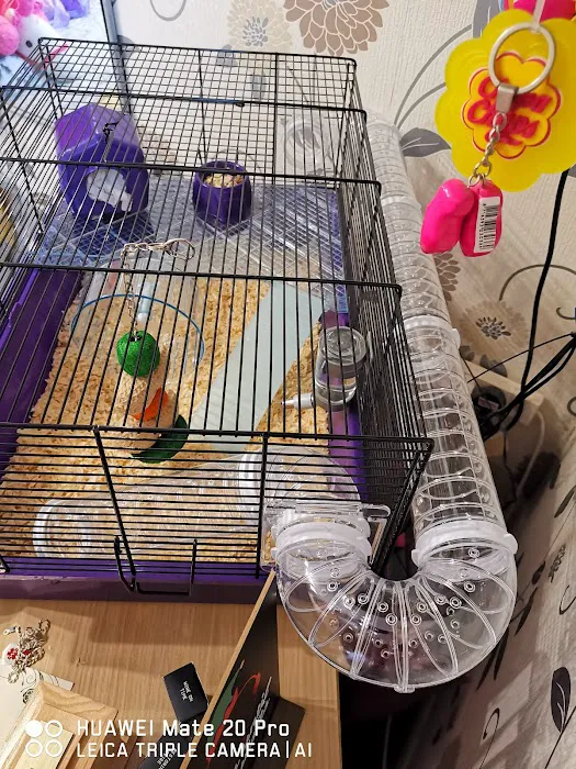 Pets at Home Grimsby Picture 7