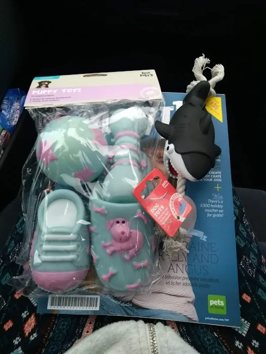 Pets at Home Grimsby Picture 10