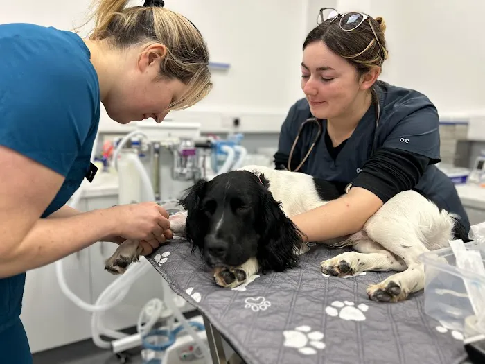 Claro Hill Vets Picture 6
