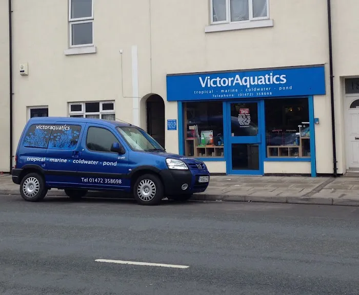 Mother of Aquatics - Victor Aquatics Picture 2