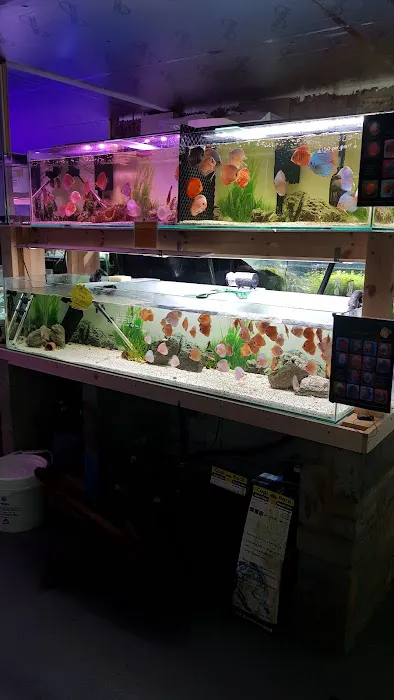Mother of Aquatics - Victor Aquatics Picture 1