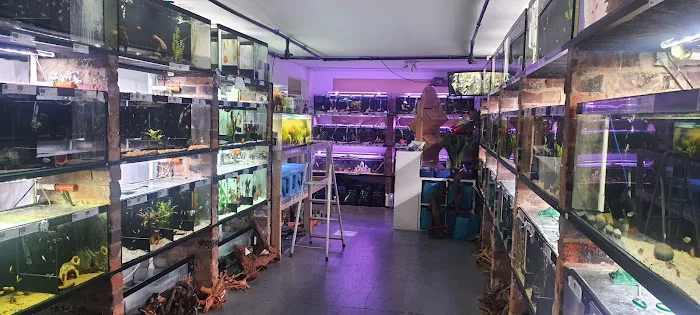 Mother of Aquatics - Victor Aquatics Picture 4