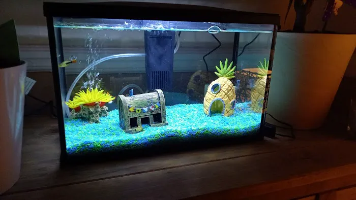 Mother of Aquatics - Victor Aquatics Picture 6