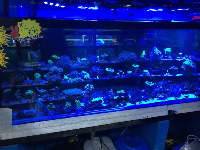 Mother of Aquatics - Victor Aquatics Picture 8