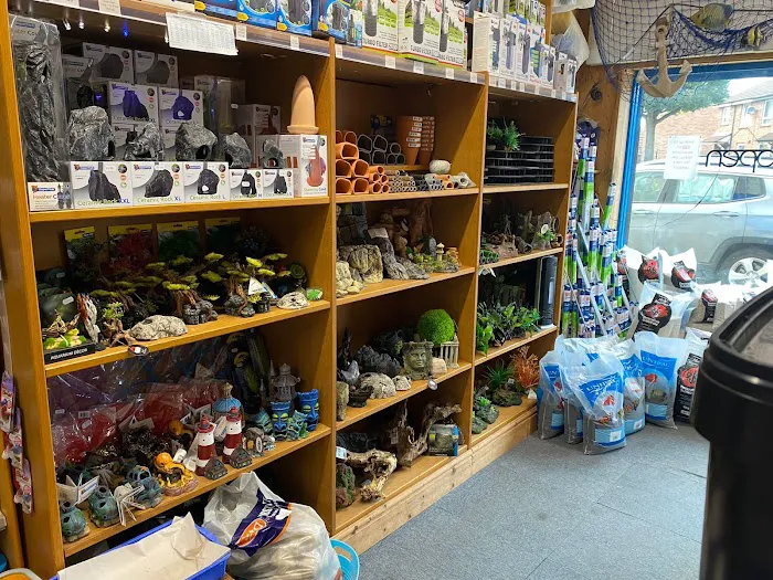 Mother of Aquatics - Victor Aquatics Picture 7