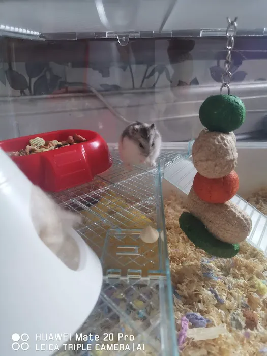 Pets at Home Cleethorpes Picture 4