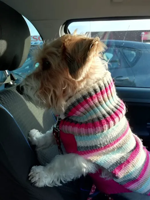 Pets at Home Cleethorpes Picture 5