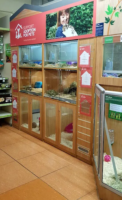 Pets at Home Cleethorpes Picture 10