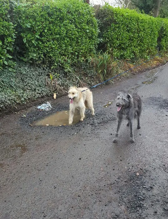 Abbey Veterinary Centre Picture 10