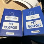 Vets for Pets - Newtownabbey