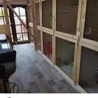 Tinkerbells Cattery Newtownabbey ico