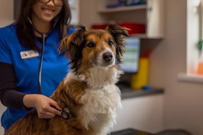 Garden Lodge Veterinary Clinic Picture 5