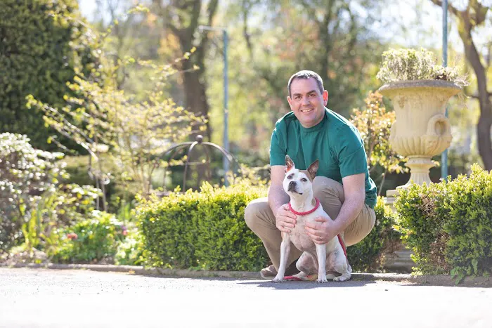 Garden Lodge Veterinary Clinic Picture 4