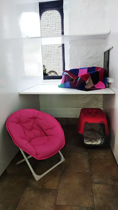 Coach House Cattery Picture 5
