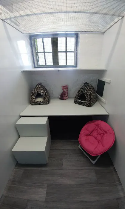 Coach House Cattery Picture 7