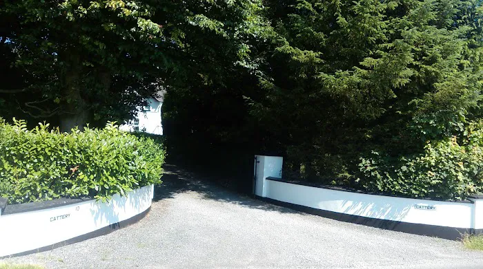 Coach House Cattery Picture 10