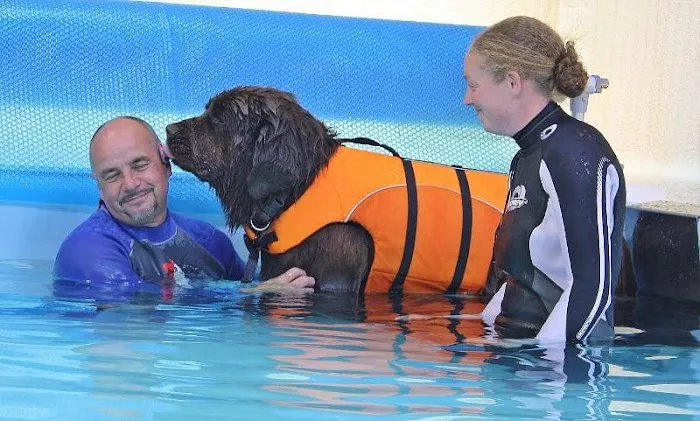 Highwood Canine Hydrotherapy Picture 3