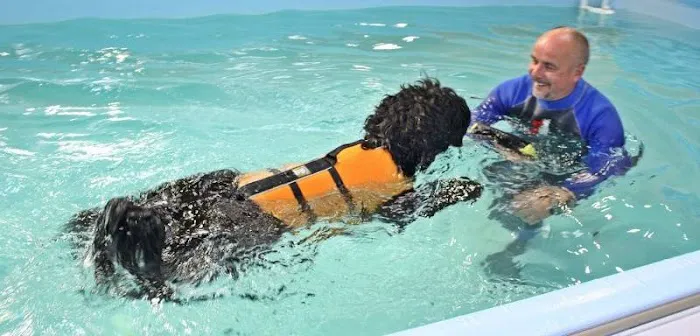 Highwood Canine Hydrotherapy Picture 4
