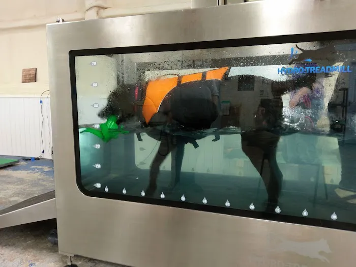 Highwood Canine Hydrotherapy Picture 9