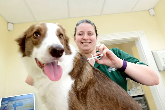 Raoul Dowding Vets, Bawtry Picture 1