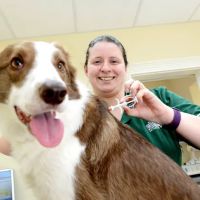 Raoul Dowding Vets, Bawtry ico