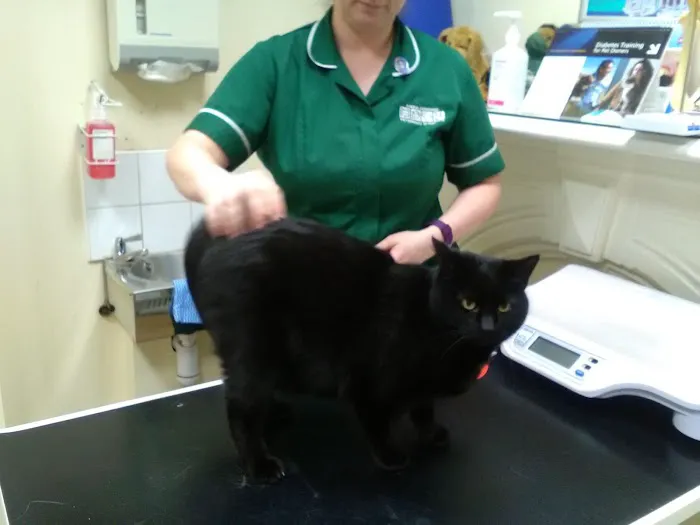 Raoul Dowding Vets, Bawtry Picture 5