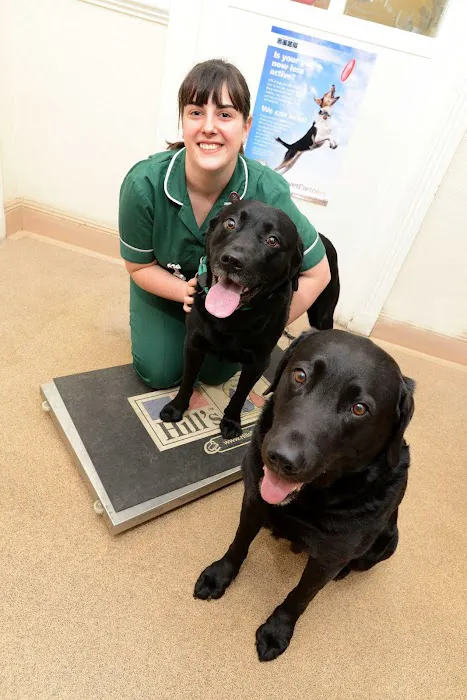 Raoul Dowding Vets, Bawtry Picture 3