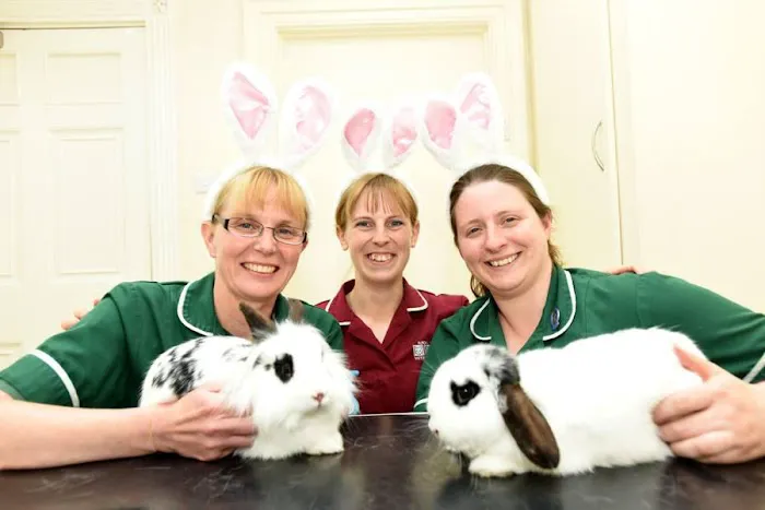 Raoul Dowding Vets, Bawtry Picture 7