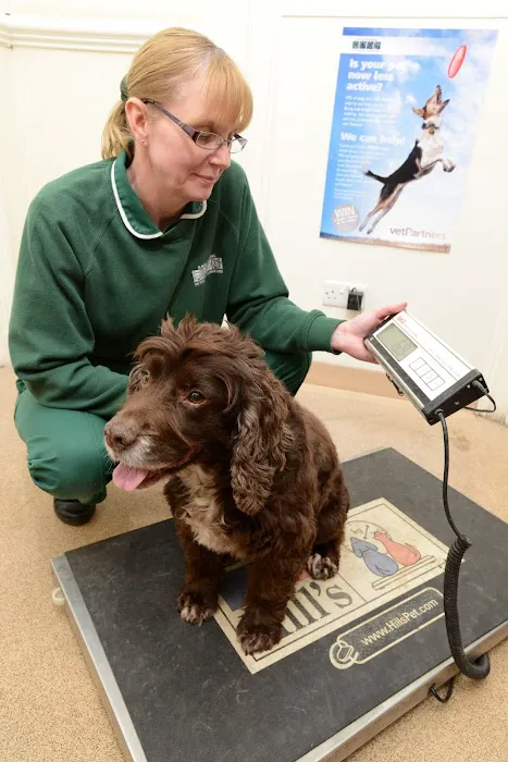 Raoul Dowding Vets, Bawtry Picture 6
