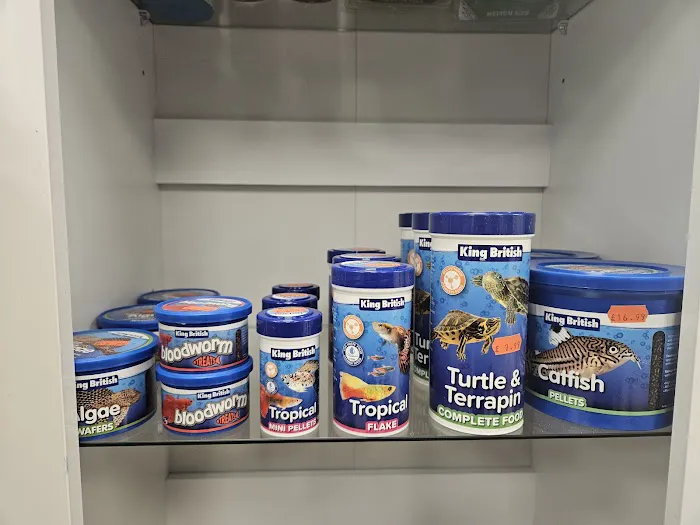 Carter's Aquatics & Pets Picture 3