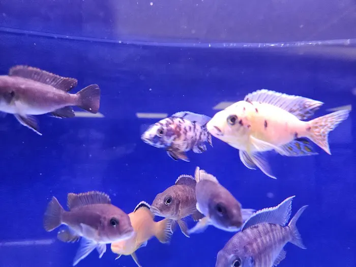 Carter's Aquatics & Pets Picture 4