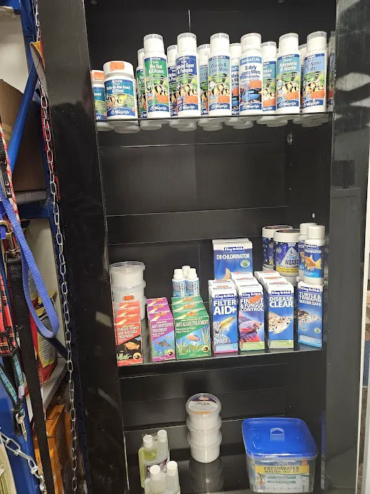 Carter's Aquatics & Pets Picture 5