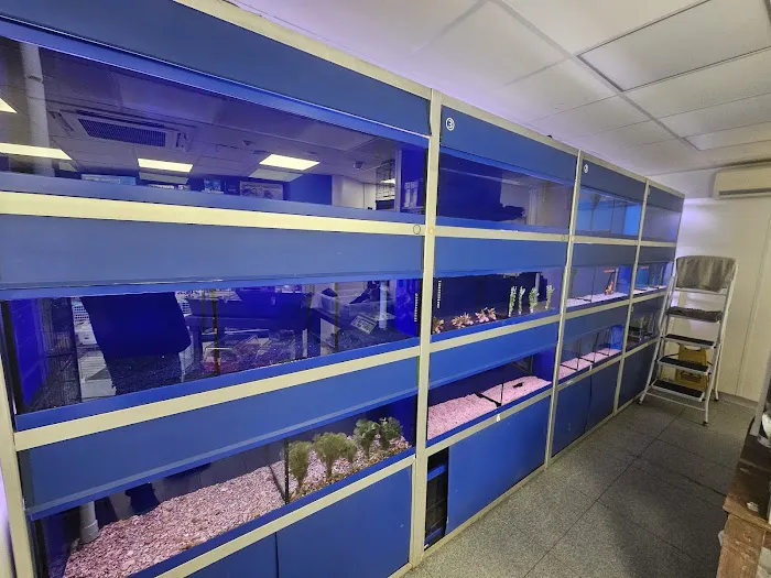 Carter's Aquatics & Pets Picture 9